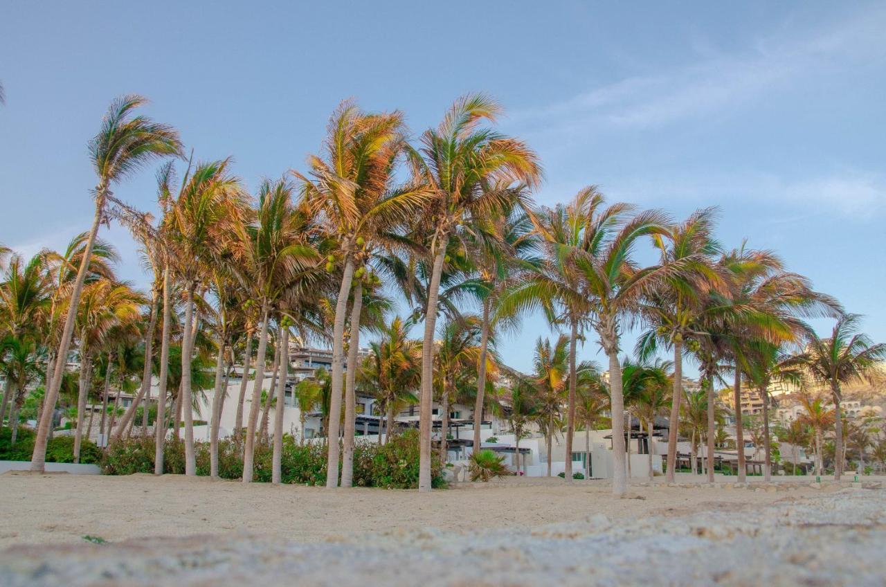 Pedregal Suites - Marina And Downtown Cabo San Lucas Ngoại thất bức ảnh